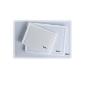 TALIERE CM 16 X 22 X H 1 LEONE-8024112050175
